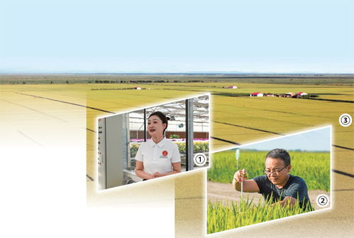 開(kāi)辦田間課堂 提供農(nóng)技服務(wù) 開(kāi)展農(nóng)產(chǎn)品電商直播 黑土地上扶農(nóng)助農(nóng)的年輕人