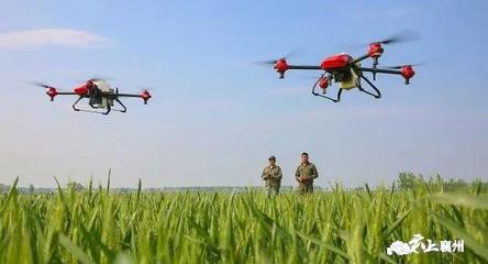 農(nóng)業(yè)現(xiàn)代化插上科技的翅膀 襄州區(qū)入選全國農(nóng)業(yè)科技現(xiàn)代化先行縣