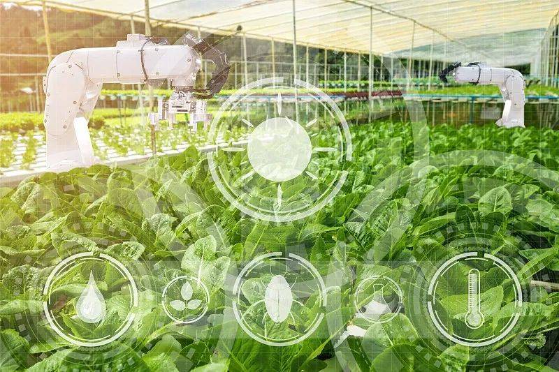 農(nóng)業(yè)科技社會化服務(wù)體系建設(shè)如何加強?七部門發(fā)文部署_推廣