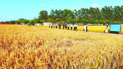 聚力加強(qiáng)農(nóng)業(yè)科技服務(wù)體系建設(shè)