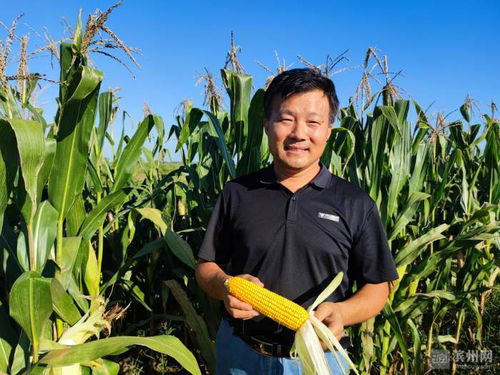 濱州國(guó)家農(nóng)業(yè)科技園區(qū)玉米新品種選育項(xiàng)目榮獲市科技進(jìn)步獎(jiǎng)一等獎(jiǎng)