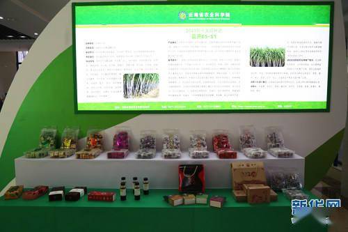 科學(xué)技術(shù)創(chuàng)新推進云南鄉(xiāng)村振興