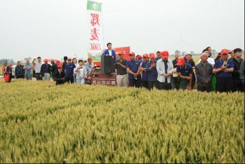 優特產業支撐計劃優質小麥專項在滑縣召開觀摩會 鄭麥1860樹立 種糧一體化 新標桿