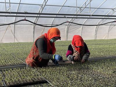 智慧農(nóng)業(yè)好春景!吳忠市農(nóng)業(yè)新質(zhì)生產(chǎn)力魅力盡顯