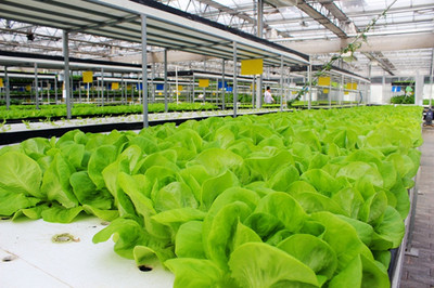 中國科技農(nóng)業(yè)展示園