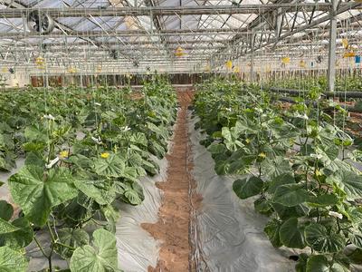 生態(tài)農(nóng)場-為農(nóng)業(yè)提質(zhì)增效插上綠色&ldquo;翅膀&rdquo;